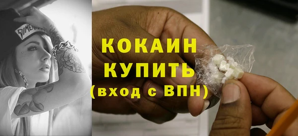 соль ск Белокуриха