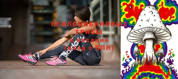 соль ск Белокуриха