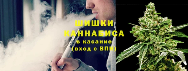 соль ск Белокуриха